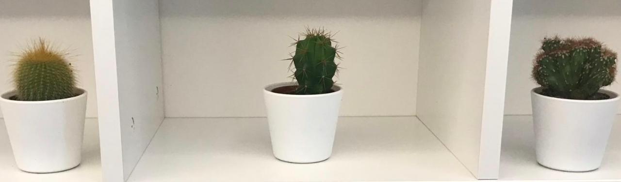 Millie'S Place 소렌토 외부 사진